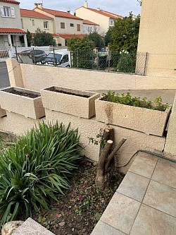 Abattage d’un bougainvivers a perpignan adellespacesverts66