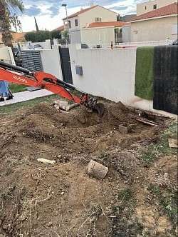 Retrait d’une souche de yucca pour une pose de gazon synthétique villeneuve de la raho 66 par adellespacesverts66