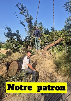 Arrachage de souche Perpignan